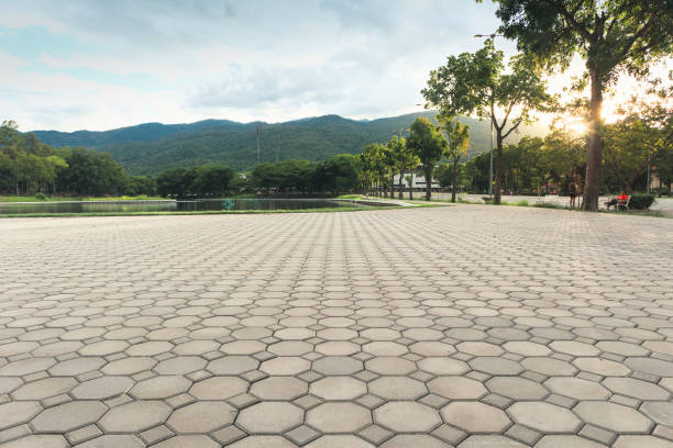 Best Professional Driveway Pavers  in Red Bay, AL